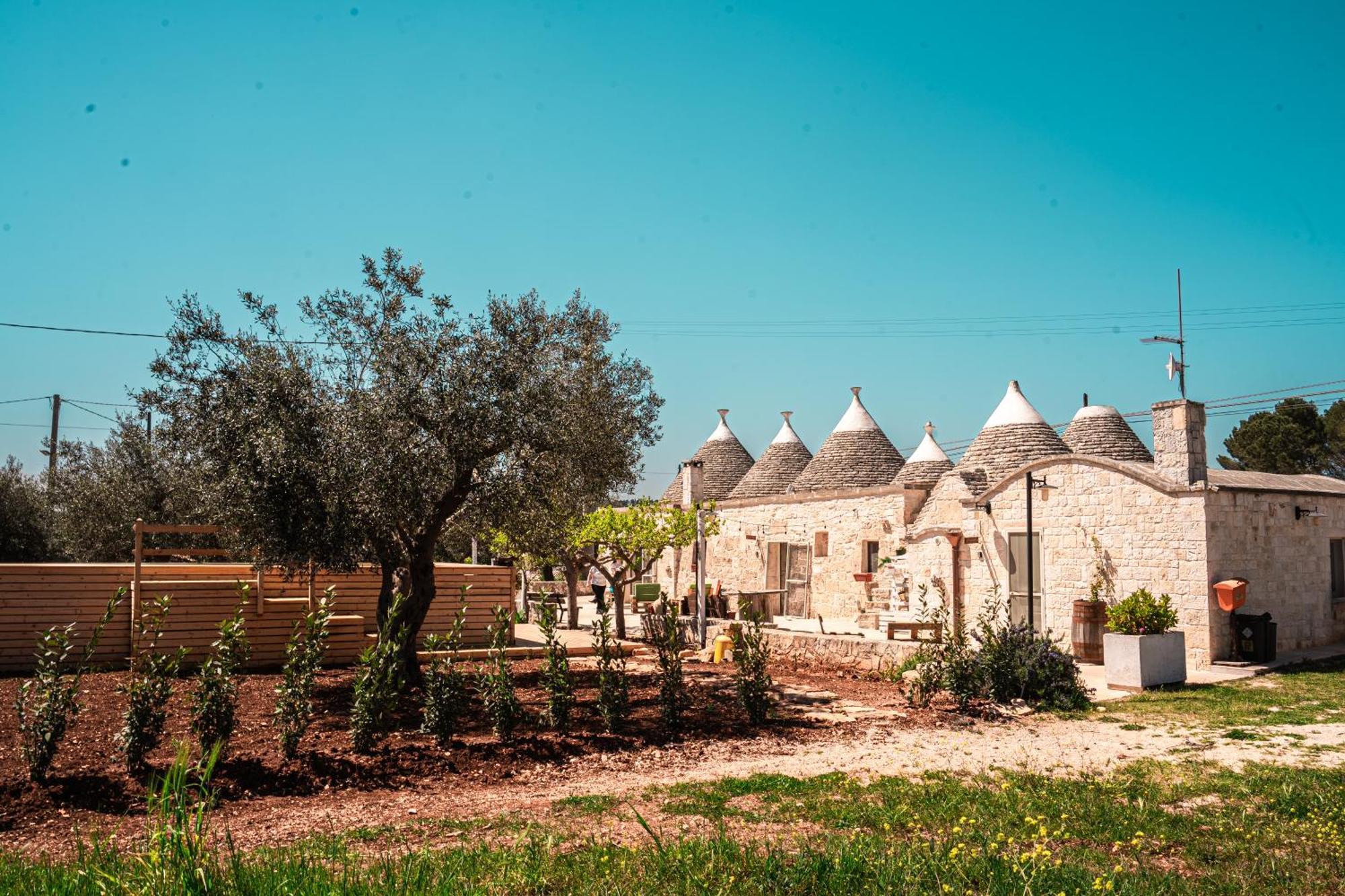 Trulli Beauty Pinnacolo Locorotondo Dış mekan fotoğraf